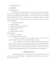 Inovacijos logistikoje 5 puslapis