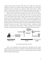 Internetas per elektros maitinimo linijos tinklą 11 puslapis
