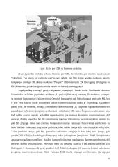 Internetas per elektros maitinimo linijos tinklą 10 puslapis