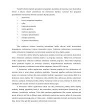 Investicijos į nekilnojamą turtą 13 puslapis