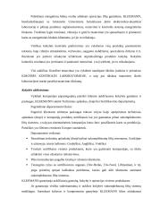 ISO standartų taikymas "Kleemann" įmonės pavyzdžiu 13 puslapis