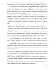 Ispanijos kurortai 11 puslapis