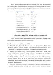 Ispanijos kurortai 12 puslapis