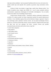 Ispanijos kurortai 9 puslapis