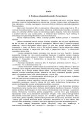 Istorinė Lietuvos ūkio raida ir šiuolaikinio rinkos ūkio susiformavimas 2 puslapis