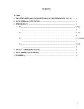 Istorinis atmosferos globalių cirkuliacijos modelių (AGCM) vystymasis iki 1985 metų 2 puslapis