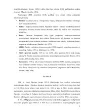 Istorinis atmosferos globalių cirkuliacijos modelių (AGCM) vystymasis iki 1985 metų 6 puslapis