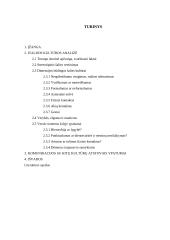 Italija: kultūros dimensijos ir tarpkultūrinės komunikacijos ypatumai 2 puslapis