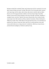 Italija: kultūros dimensijos ir tarpkultūrinės komunikacijos ypatumai 11 puslapis