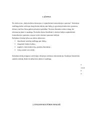 Italija: kultūros dimensijos ir tarpkultūrinės komunikacijos ypatumai 3 puslapis