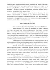 Šengeno informacinė struktūra 12 puslapis