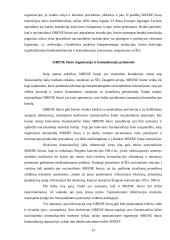 Šengeno informacinė struktūra 13 puslapis