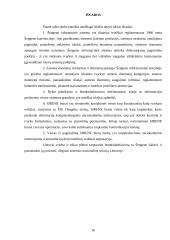Šengeno informacinė struktūra 16 puslapis