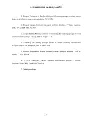 Šengeno informacinė struktūra 17 puslapis