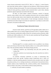 Šengeno informacinė struktūra 7 puslapis