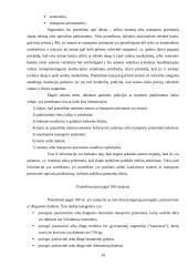 Šengeno informacinė struktūra 10 puslapis