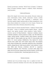 Italijos renesansas 2 puslapis