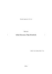 Italijos renesansas 6 puslapis