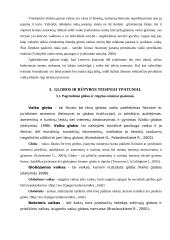 Įvaikinimas. Globa ir rūpyba 17 puslapis