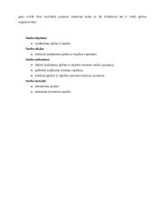 Įvaikinimas. Globa ir rūpyba 4 puslapis