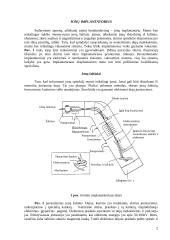 Jonų implantacijos technologijos 2 puslapis