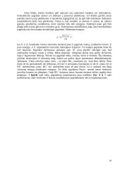 Jonų implantacijos technologijos 10 puslapis