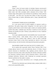 Judesių ir pozų ergonomika 7 puslapis