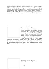 Jupiteris ir Saturnas 19 puslapis