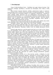 Jūrų laivai ir krovinių pervežimai 3 puslapis
