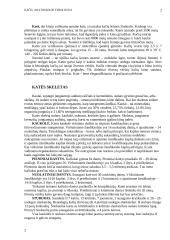 Kačių anatomija ir fiziologija 2 puslapis