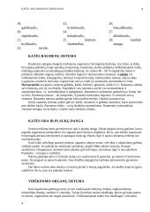 Kačių anatomija ir fiziologija 4 puslapis