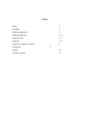 Kačių panleukopenijos virusai 2 puslapis