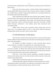 Kaimo gyventojų užimtumo pokyčiai 13 puslapis