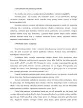 Kainodaros organizavimas UAB "Klaipėdos statybinės medžiagos" - prekybos centras "Gulsena" 13 puslapis