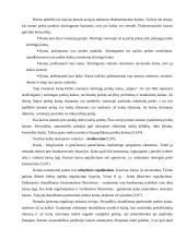 Kainodaros organizavimas UAB "Klaipėdos statybinės medžiagos" - prekybos centras "Gulsena" 15 puslapis