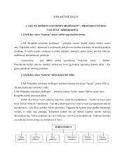 Kainodaros organizavimas UAB "Klaipėdos statybinės medžiagos" - prekybos centras "Gulsena" 19 puslapis
