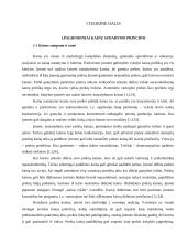 Kainodaros organizavimas UAB "Klaipėdos statybinės medžiagos" - prekybos centras "Gulsena" 3 puslapis