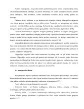 Kainodaros organizavimas UAB "Klaipėdos statybinės medžiagos" - prekybos centras "Gulsena" 7 puslapis