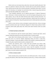 Kainodaros organizavimas UAB "Klaipėdos statybinės medžiagos" - prekybos centras "Gulsena" 8 puslapis