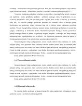 Kainodaros organizavimas UAB "Klaipėdos statybinės medžiagos" - prekybos centras "Gulsena" 10 puslapis