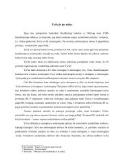 Kaltės samprata, formos ir turinys 7 puslapis
