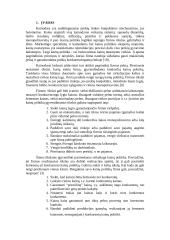 Kainodaros strategija 2 puslapis