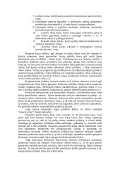 Kainodaros strategija 3 puslapis