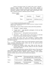 Kainodaros strategija 5 puslapis