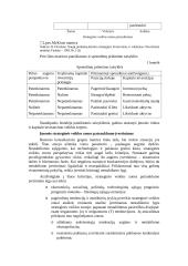 Kainodaros strategija 6 puslapis