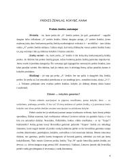 Kainos ir kokybės derinimas 3 puslapis