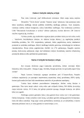 Kainos ir kokybės derinimas 5 puslapis