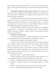 Kainos nustatymo procesas 11 puslapis