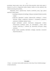 Kainos nustatymo procesas 14 puslapis