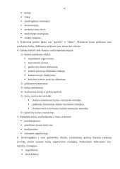 Kainos nustatymo procesas 15 puslapis